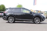 Certified 2017 Toyota RAV4 Limited image 6