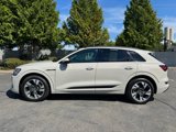 Used 2021 Audi e-tron Premium w/ Convenience Plus Package image 6