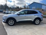 Used 2022 Ford Escape SE w/ Convenience Package image 6