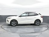 New 2024 Ford Escape ST-Line w/ Tech Pack #1 image 5