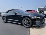 Used 2021 Ford Mustang Premium image 2