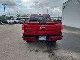 Used 2017 Ford F150 XLT w/ Equipment Group 302A Luxury image 4
