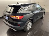 Used 2022 Ford Escape SE w/ Convenience Package image 6