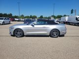 Used 2017 Ford Mustang Premium image 2