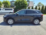 Used 2024 Ford Escape Active image 2