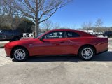 New 2025 Dodge Charger R/T w/ Quick Order Package 25M R/T image 4