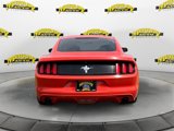 Used 2016 Ford Mustang Coupe image 4