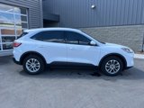 Used 2020 Ford Escape SE image 4
