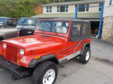 Used 1995 Jeep Wrangler Rio Grande image 3