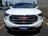 Used 2018 GMC Terrain SLT w/ Preferred Package image 3