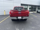 Used 2019 Ford F150 XLT w/ Equipment Group 302A Luxury image 3
