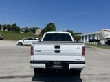 Used 2014 Ford F150 STX w/ Equipment Group 201A Mid image 6