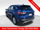 Used 2022 Ford Escape SE image 5