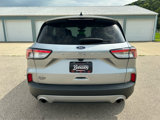 Used 2022 Ford Escape SE w/ Cold Weather Package image 6