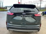 Used 2024 Ford Edge SEL image 4