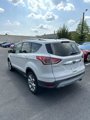 Used 2014 Ford Escape Titanium image 4