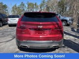 Used 2019 Cadillac XT4 Premium Luxury image 2