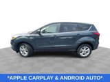 Used 2019 Ford Escape SE image 6