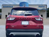 Used 2020 Ford Escape Titanium image 4