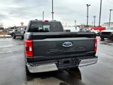 Used 2021 Ford F150 XLT w/ Equipment Group 301A Mid image 6