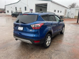 Used 2017 Ford Escape SE w/ Equipment Group 201A image 4