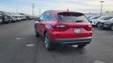 New 2025 Ford Escape ST-Line w/ Tech Pack #1 image 5
