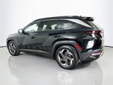 Used 2023 Hyundai Tucson Limited image 5