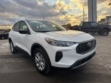 New 2025 Ford Escape Active w/ Cold Weather Package image 4