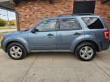 Used 2010 Ford Escape XLT image 4