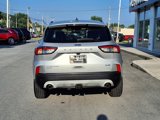 Used 2020 Ford Escape Titanium image 6