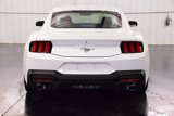 Used 2024 Ford Mustang Coupe image 6