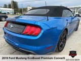 Used 2019 Ford Mustang Premium image 5