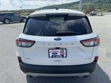 Used 2020 Ford Escape SEL image 4