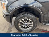 Used 2019 Ford F150 XLT w/ Equipment Group 302A Luxury image 2