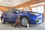 Used 2024 Subaru Impreza 2.0i image 2