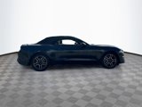 Used 2019 Ford Mustang Premium image 4