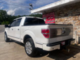 Used 2010 Ford F150 Platinum image 3