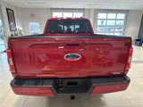 Certified 2022 Ford F150 XLT w/ Equipment Group 302A High image 4