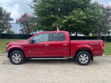 Used 2016 Ford F150 XLT w/ Equipment Group 302A Luxury image 5