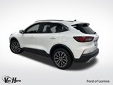 Used 2023 Ford Escape SE image 3