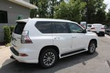 Used 2017 Lexus GX 460 Luxury image 4