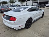 Used 2015 Ford Mustang Coupe w/ Ecoboost Performance Package image 5