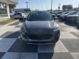 Used 2020 Ford Escape SEL image 2