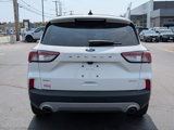 Certified 2020 Ford Escape SEL image 5
