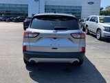 Used 2022 Ford Escape SE image 6