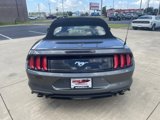 Used 2023 Ford Mustang Premium image 6