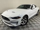 Used 2019 Ford Mustang Coupe image 1