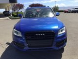 Used 2016 Audi SQ5 Premium Plus w/ Technology Package image 3