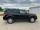 Used 2012 Ford Escape XLT image 6