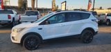 Used 2017 Ford Escape SE w/ SE Sport Appearance Package image 2